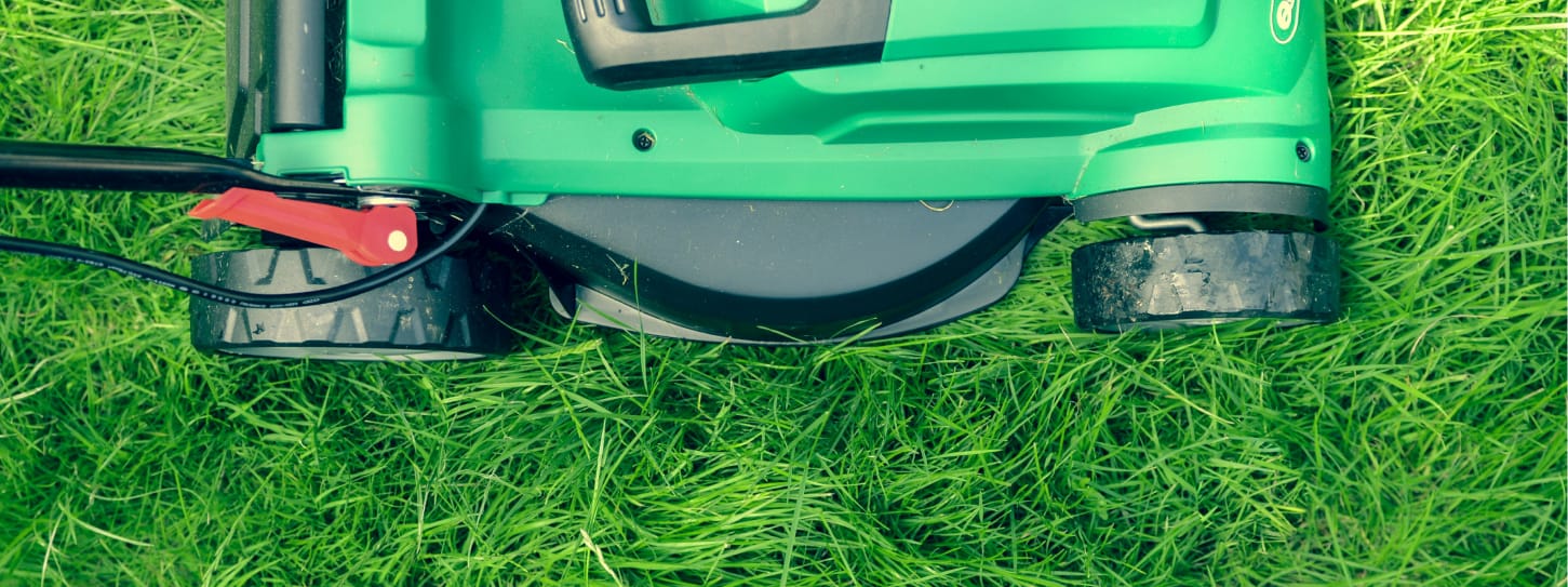 lawn care service summerfield nc