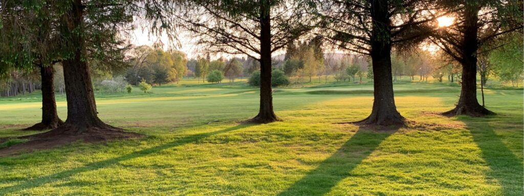 landscape design summerfield nc