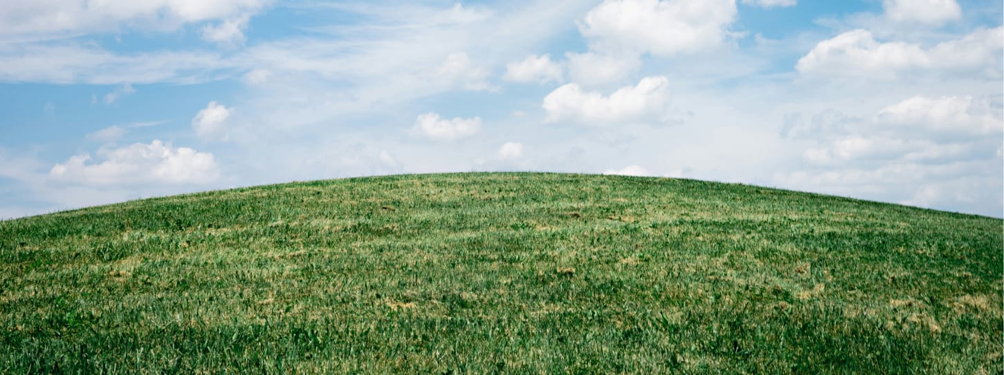 lawn care service summerfield nc