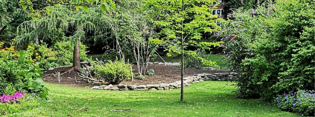 lawn care service summerfield nc