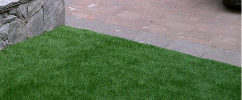 lawn care service summerfield nc