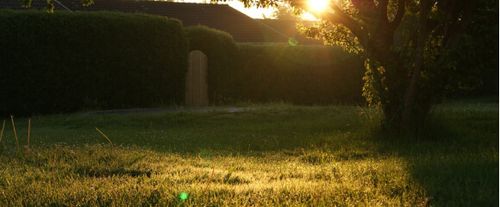 lawn care service summerfield nc