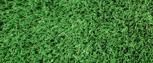 lawn care service summerfield nc