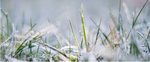 winterization greensboro nc
